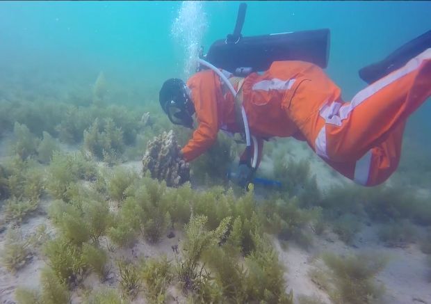 博天堂·918-官方网站|真人游戏品牌