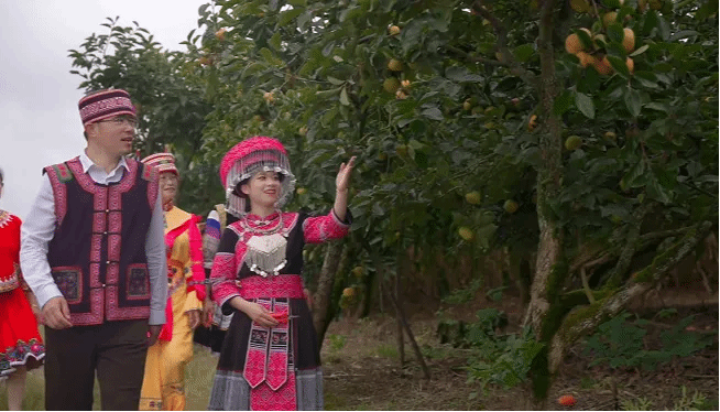 博天堂·918-官方网站|真人游戏品牌