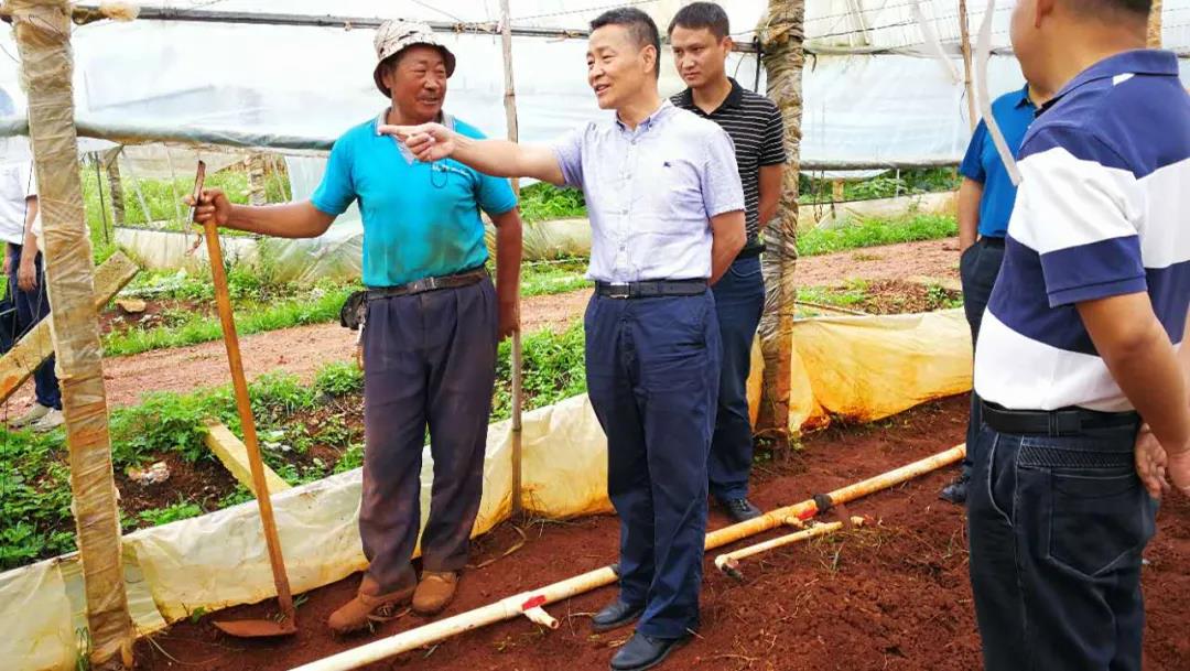 博天堂·918-官方网站|真人游戏品牌