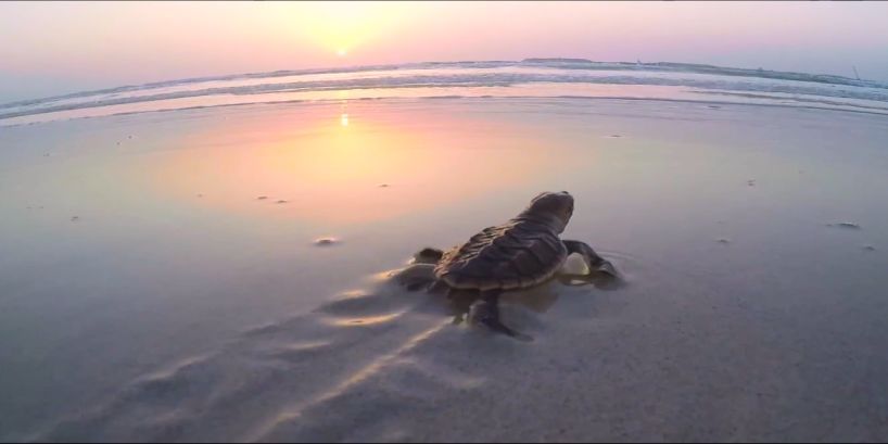 博天堂·918-官方网站|真人游戏品牌