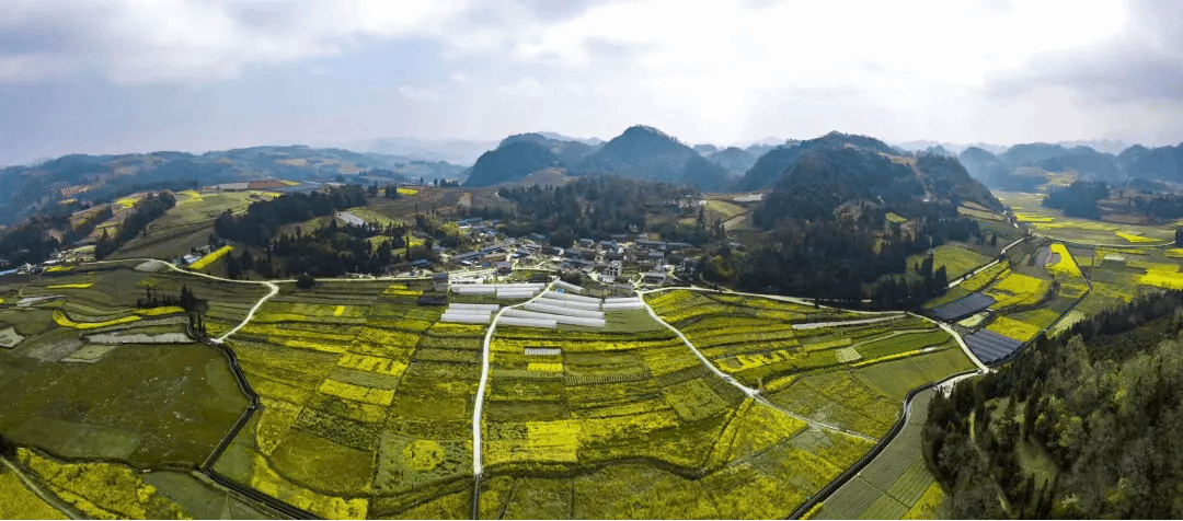 博天堂·918-官方网站|真人游戏品牌