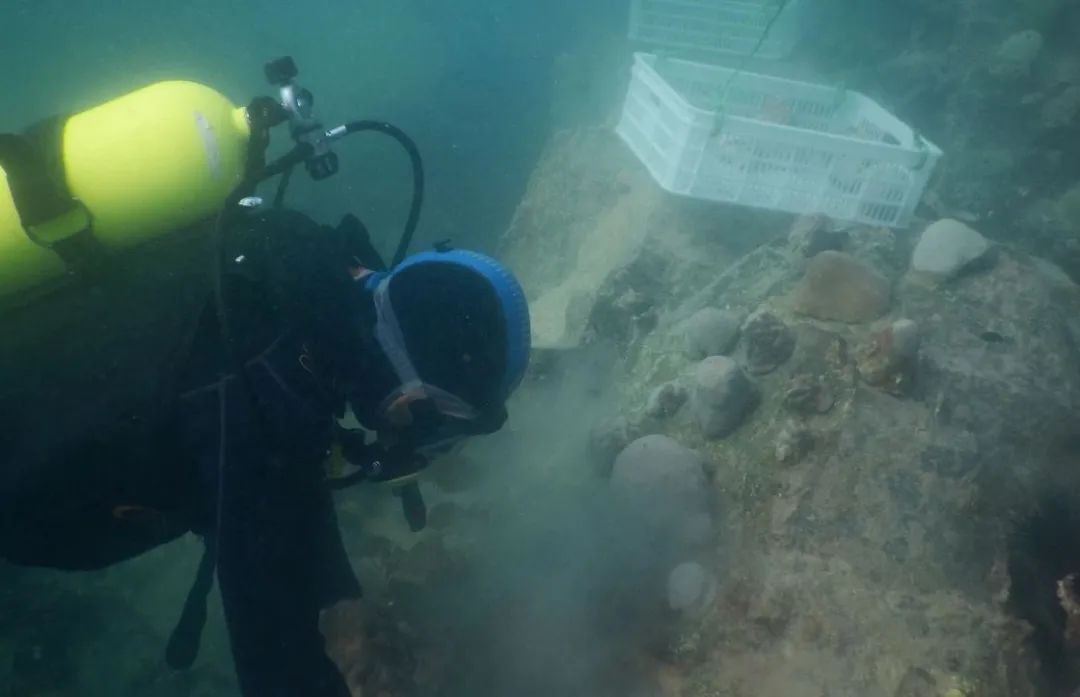 博天堂·918-官方网站|真人游戏品牌