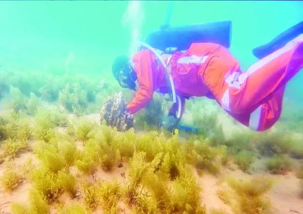 博天堂·918-官方网站|真人游戏品牌