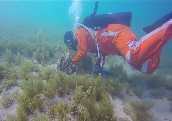 博天堂·918-官方网站|真人游戏品牌