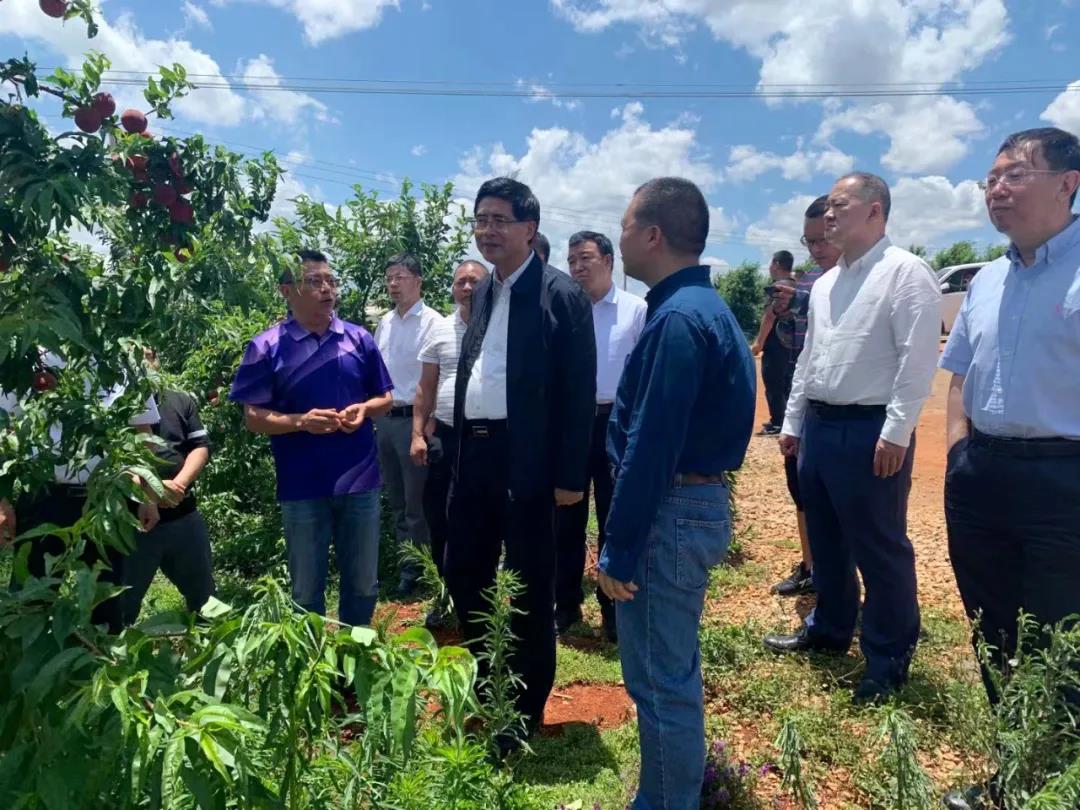 博天堂·918-官方网站|真人游戏品牌