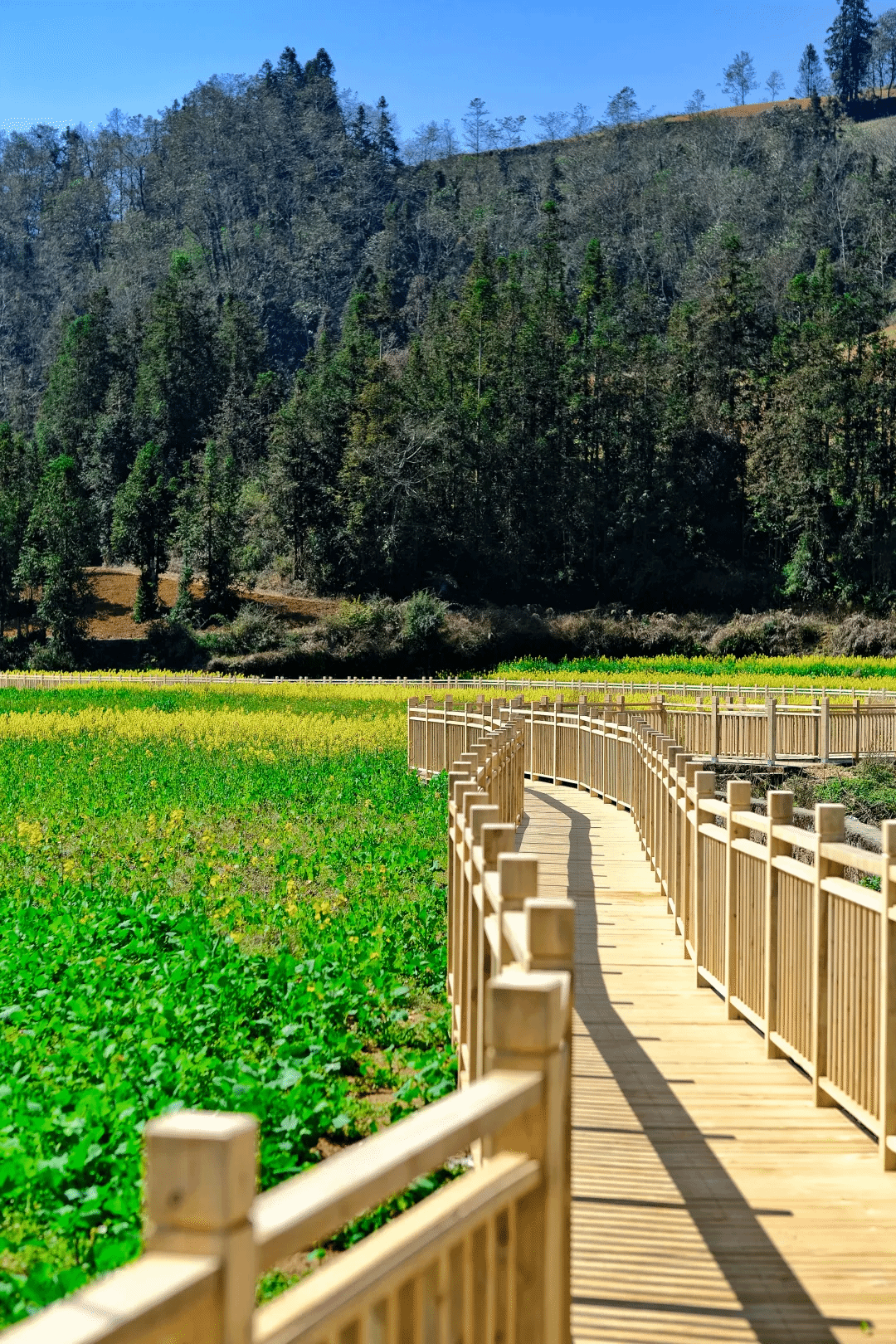 博天堂·918-官方网站|真人游戏品牌