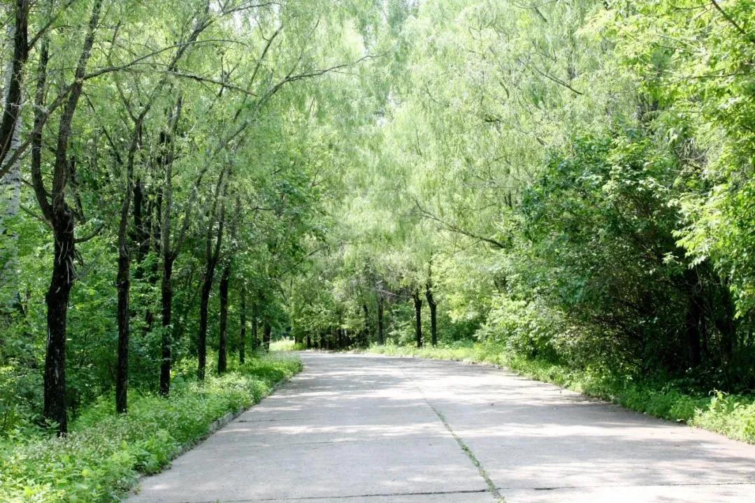 博天堂·918-官方网站|真人游戏品牌