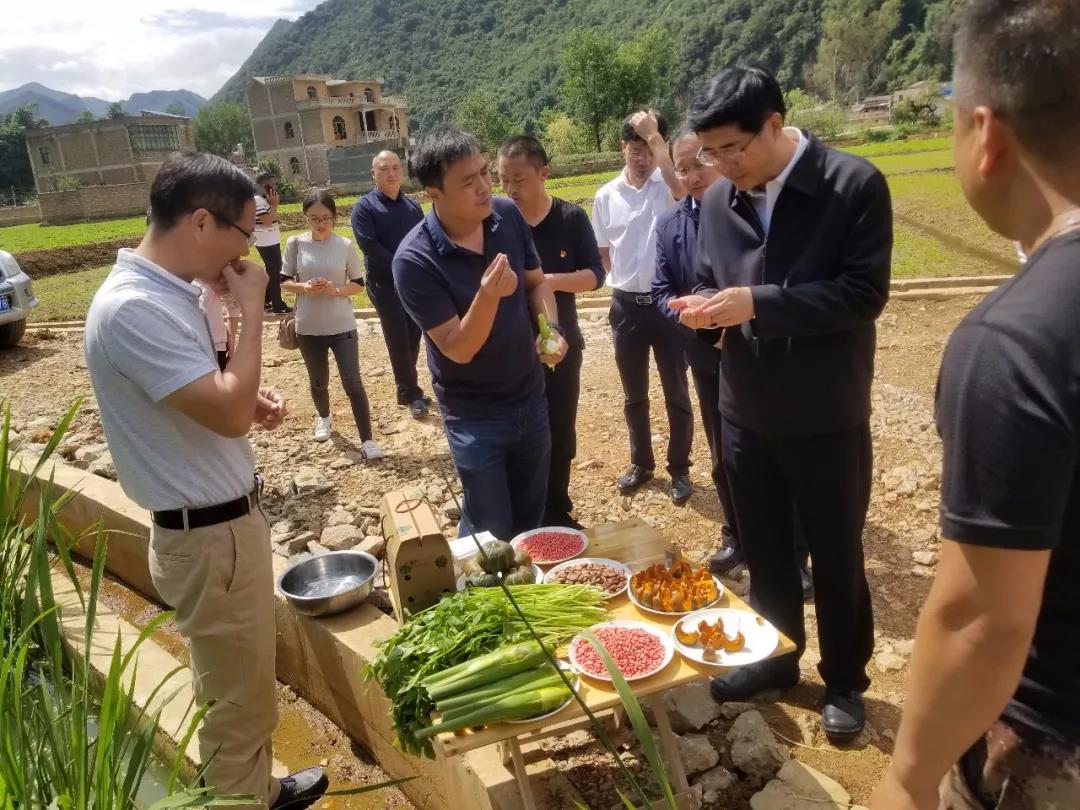 博天堂·918-官方网站|真人游戏品牌