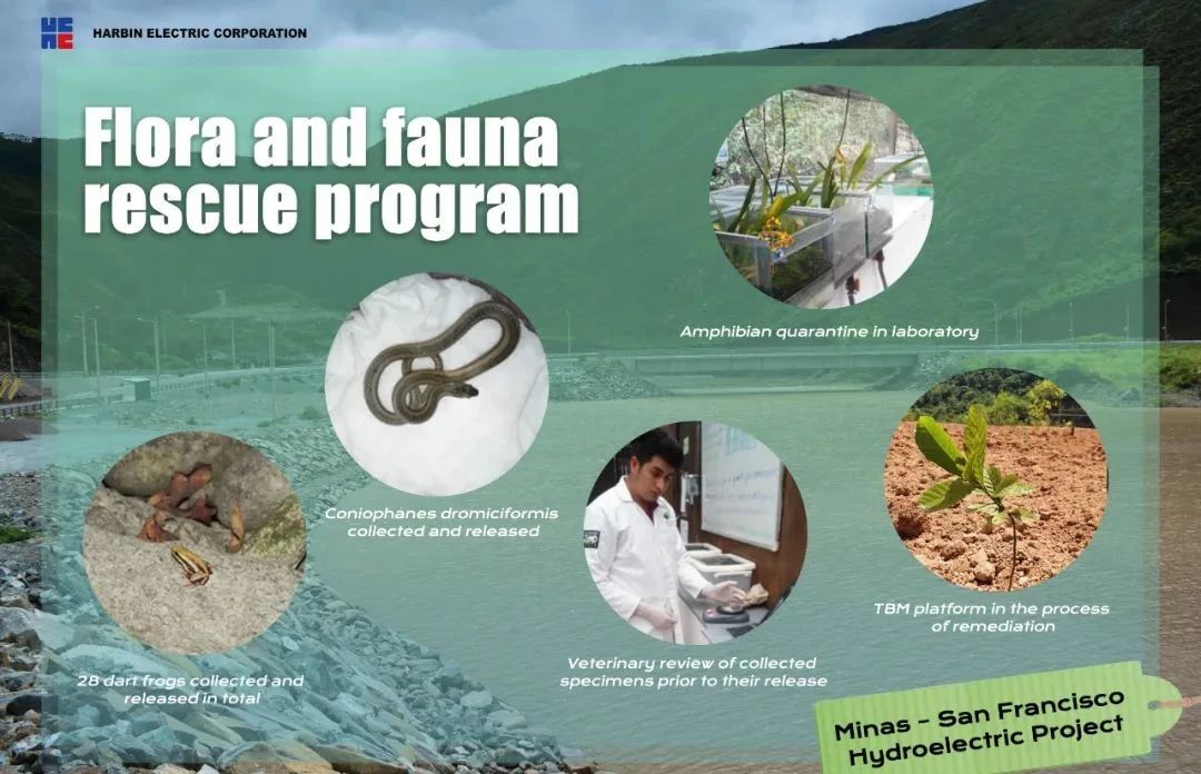 博天堂·918-官方网站|真人游戏品牌