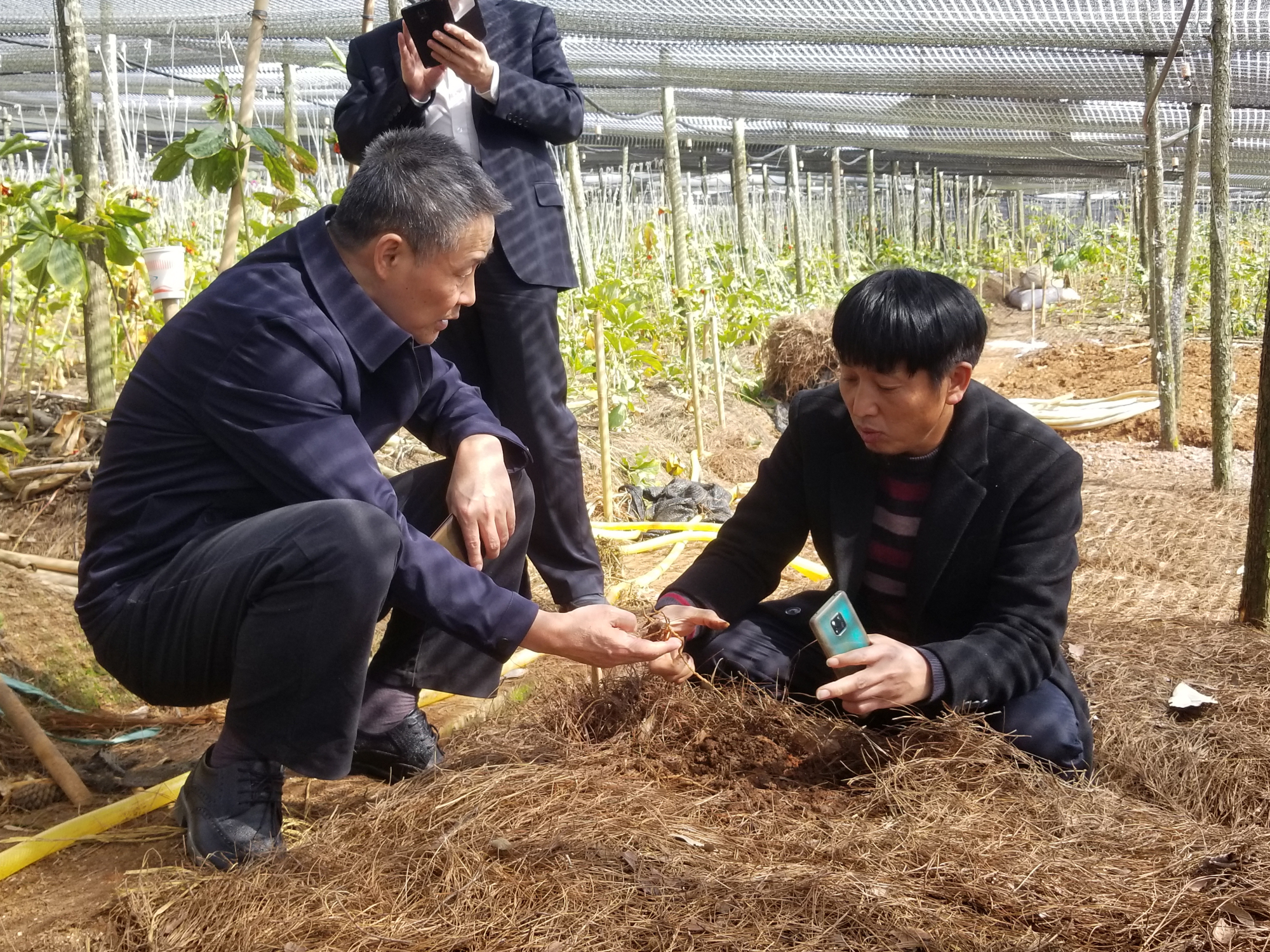 博天堂·918-官方网站|真人游戏品牌