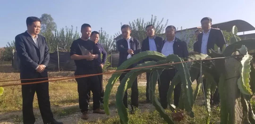 博天堂·918-官方网站|真人游戏品牌