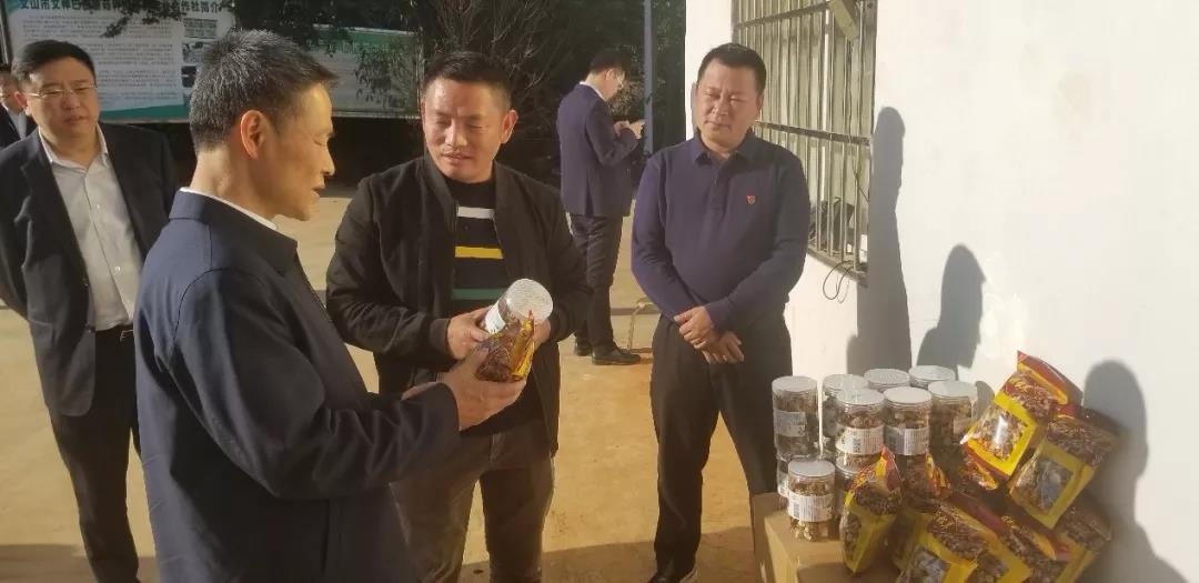 博天堂·918-官方网站|真人游戏品牌