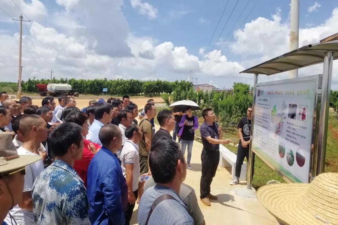 博天堂·918-官方网站|真人游戏品牌