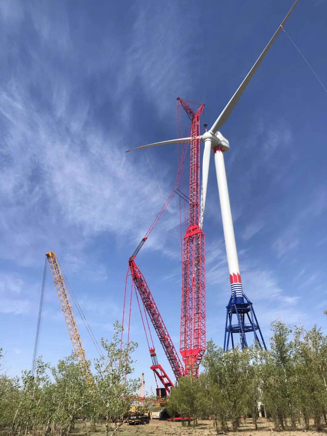 博天堂·918-官方网站|真人游戏品牌