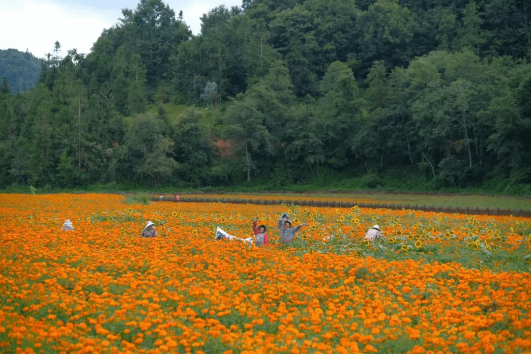 博天堂·918-官方网站|真人游戏品牌