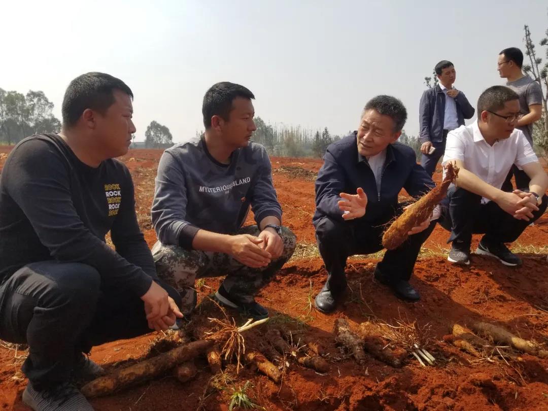 博天堂·918-官方网站|真人游戏品牌