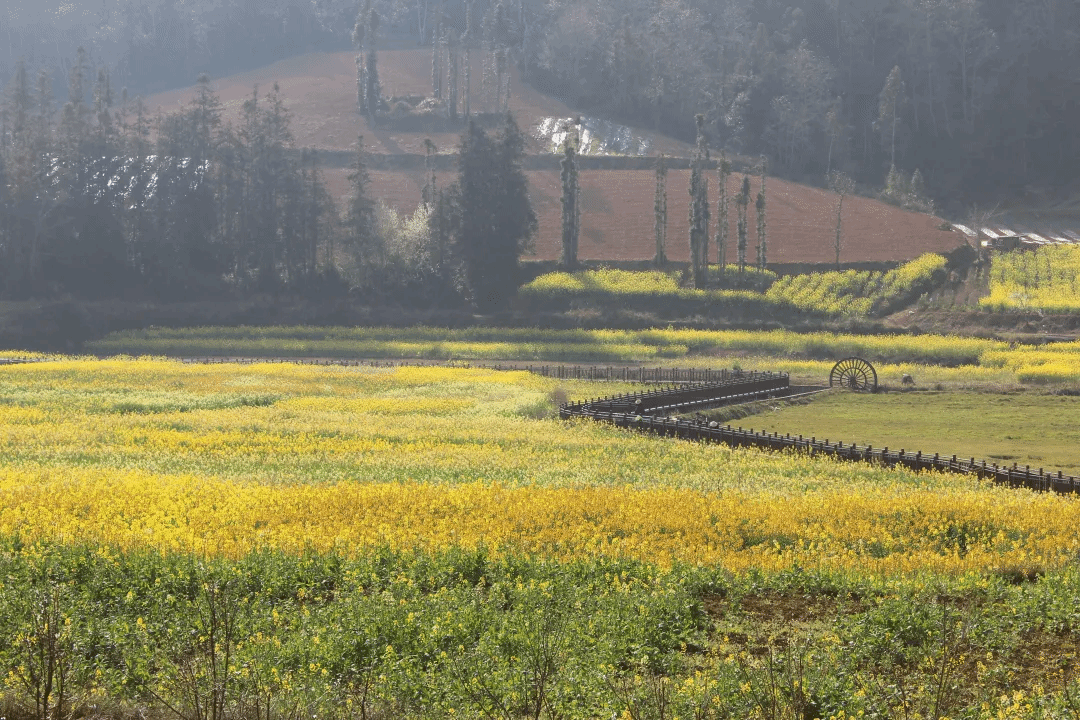 博天堂·918-官方网站|真人游戏品牌